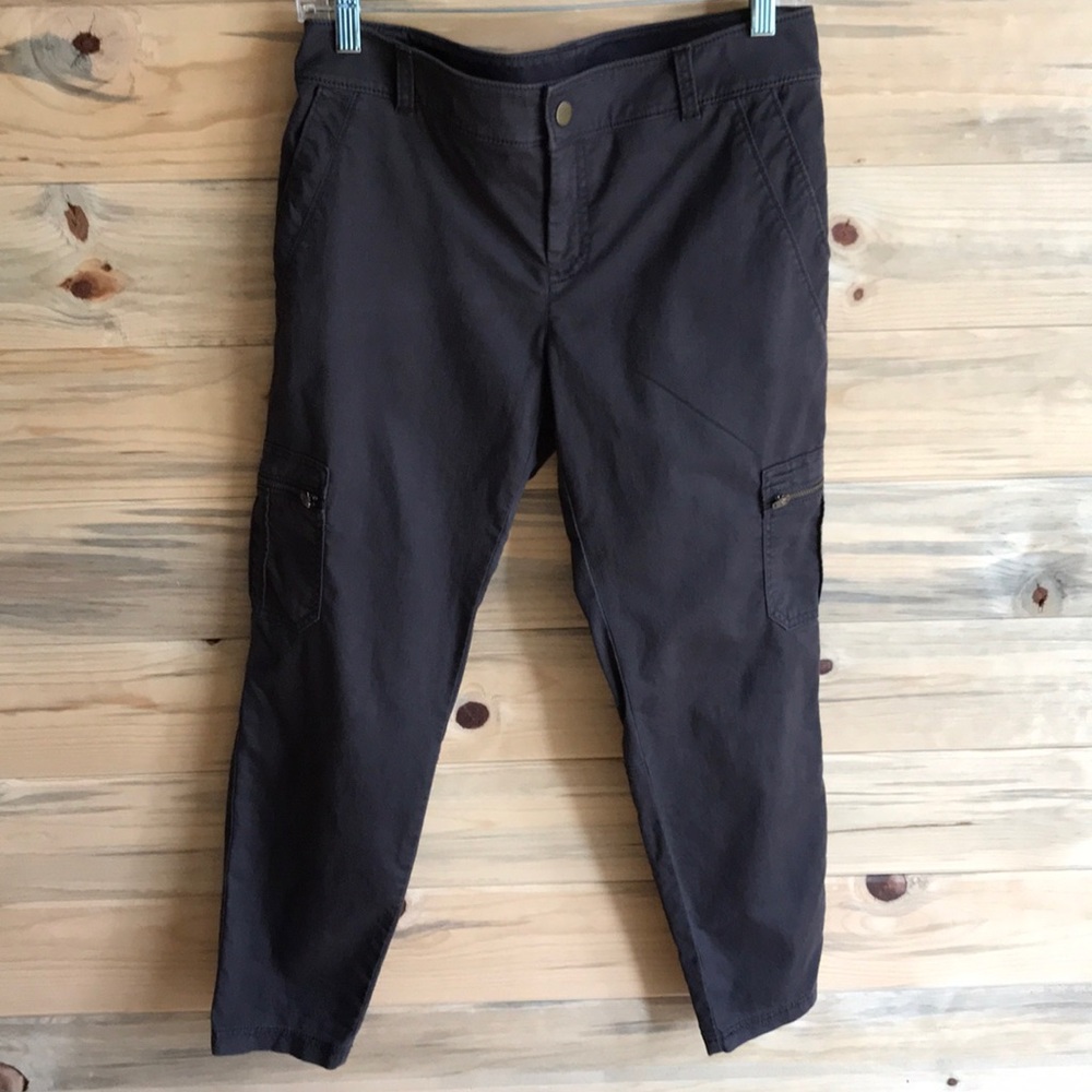 Atheta capris